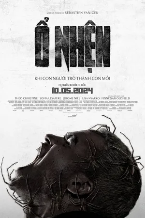Ổ Nhện Ổ Nhện